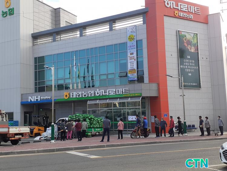 CTN - 확실하고 진실된 뉴스!-태안농협 하나로마트, 금값배추 1000망 깜짝 세일 태안농협 하나로마트, 금값배추 1000망 깜짝 세일