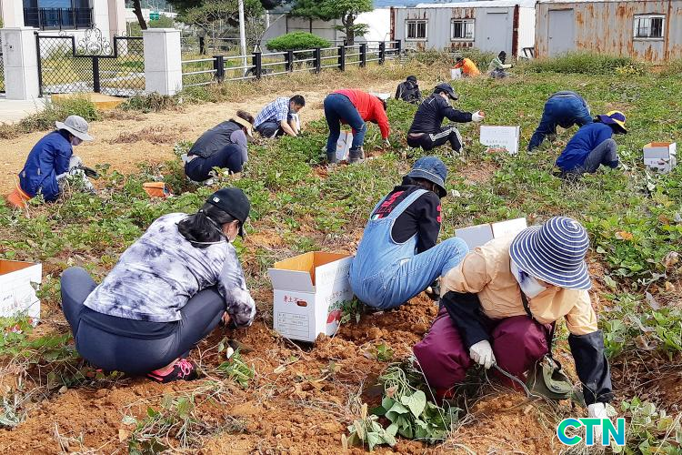 CTN - 확실하고 진실된 뉴스!-서산시, 귀농·귀촌 교감프로그램 운영 첫발 서산시, 귀농·귀촌 교감프로그램 운영 첫발