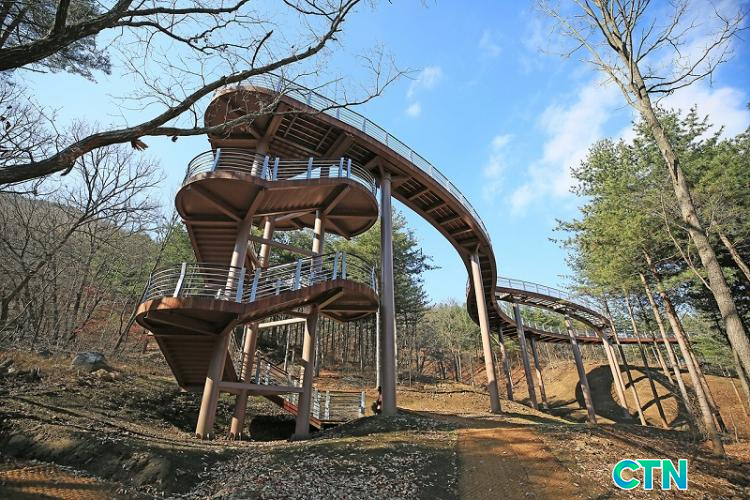 CTN - 확실하고 진실된 뉴스!-보령시, 무궁화수목원 내 성주산 숲 하늘길 조성 보령시, 무궁화수목원 내 성주산 숲 하늘길 조성