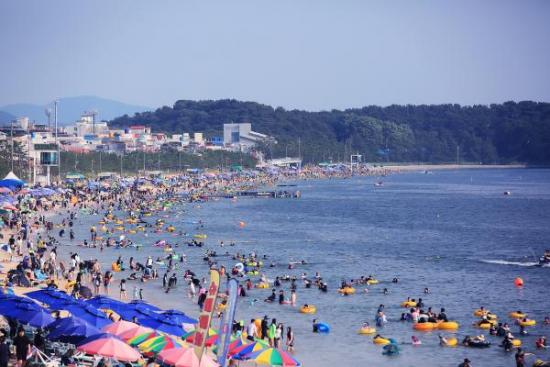 보령 이미지