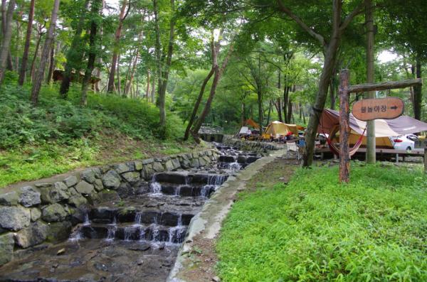 만수산자연휴양림 이미지