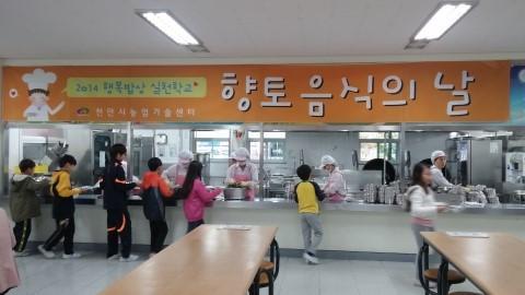 천안새샘초등학교 이미지