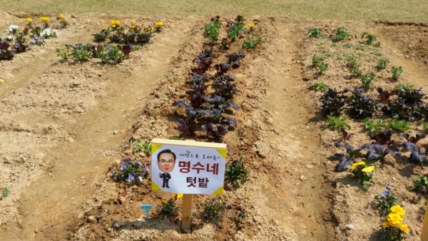 가꾸다 이미지