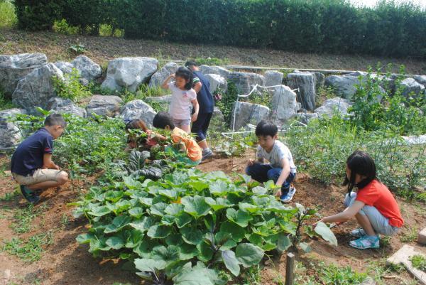 서부초등학교 이미지
