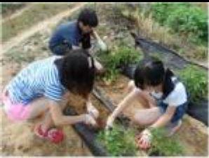 신화초등학교 이미지