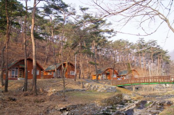 만수산자연휴양림 이미지