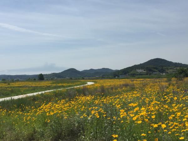 백마강 이미지