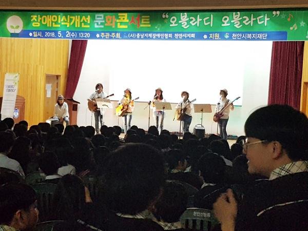오블라디 이미지
