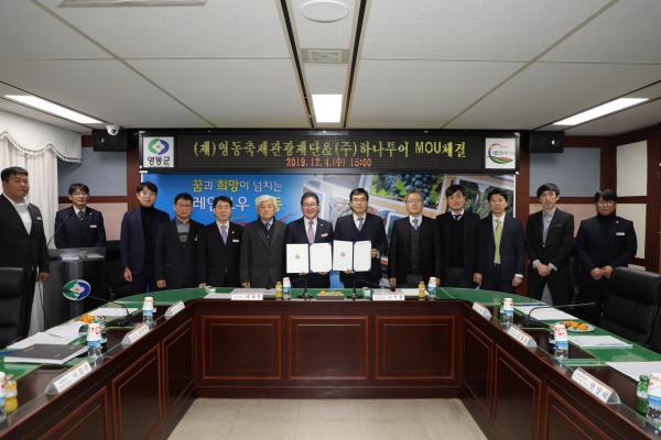 영동축제관광재단 이미지