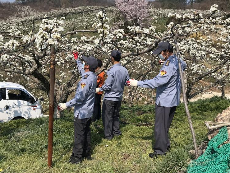 공주인력 이미지