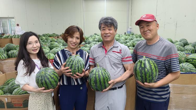삼흥 이미지