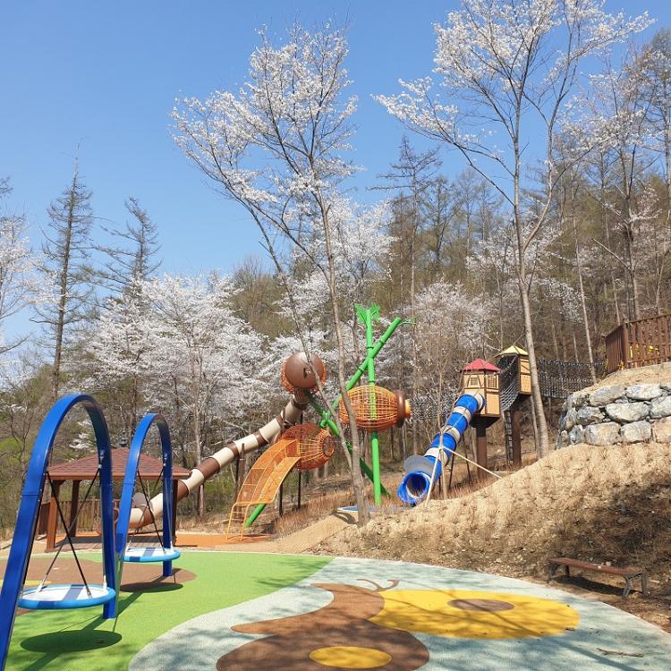 옥화자연휴양림 이미지