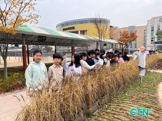 CTN - 확실하고 진실된 뉴스!- 연양초교의 작은 농부 가을걷이! 친환경 벼 수확했네요!  연양초교의 작은 농부 가을걷이! 친환경 벼 수확했네요!